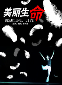 欧美理论片在线